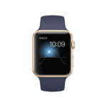 Nullam maximus eget nisi dignissim